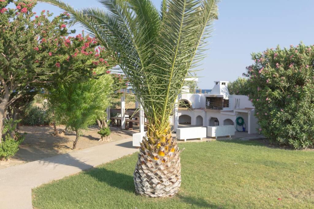 Renes Paradise Seahome - Afandou Beach, Rhodes Kolymbia Exterior photo